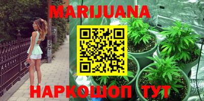 стафф Дубна