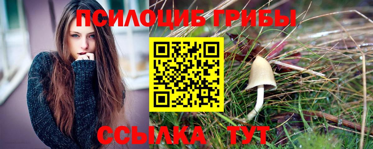 наркошоп  Галлюциногенные грибы Magic Shrooms  Вход с VPN  Муром 